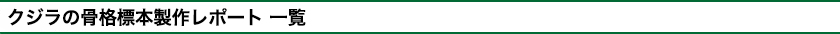 クジラの骨格標本製作レポート 一覧